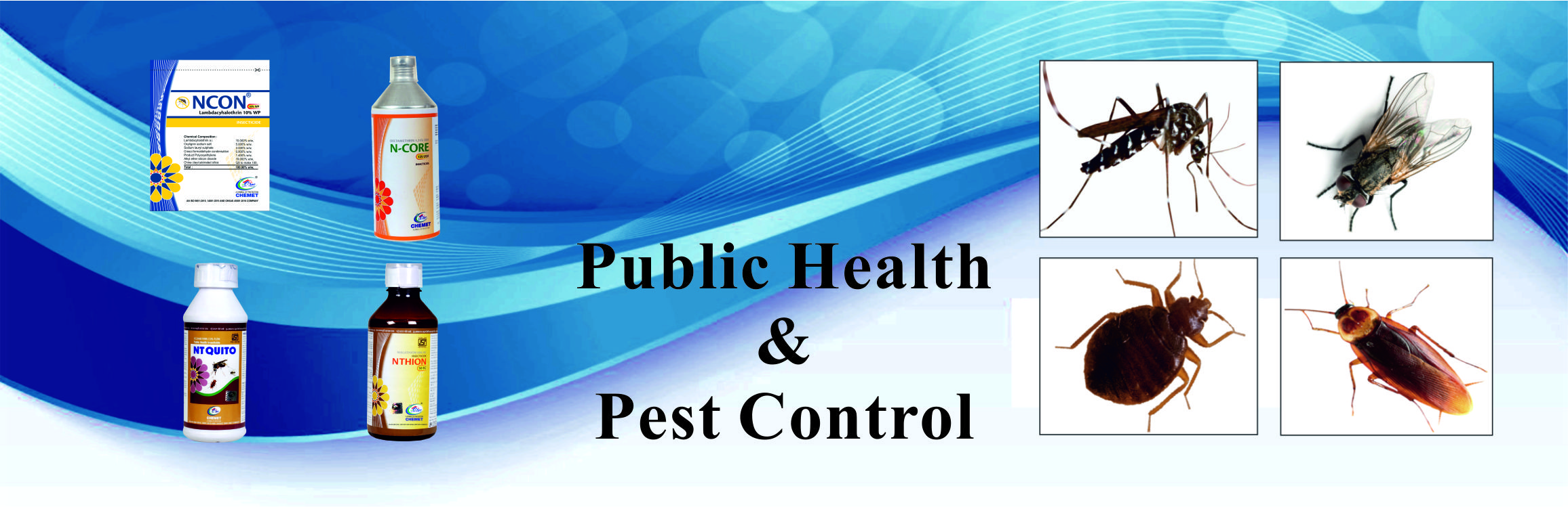 publichealth